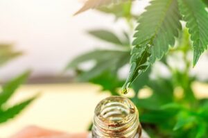 Cannabidiol : 6 avantages majeurs pour le quotidien à connaître - https ...